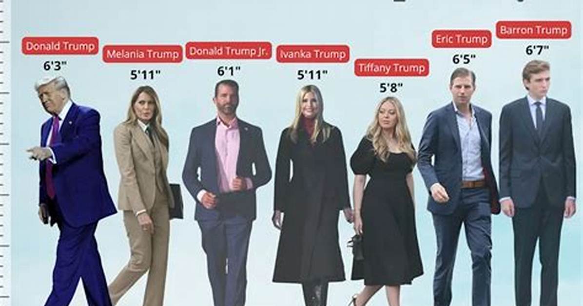 Unveiling the Dimensions: Fred Trump Height and More