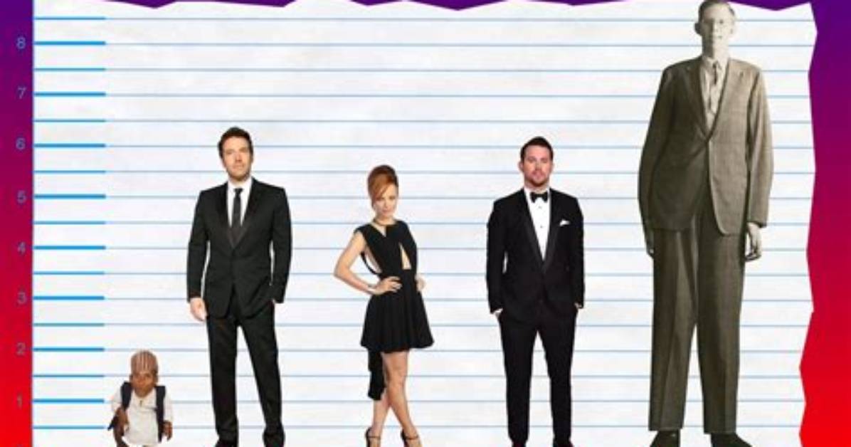 Unveiling the Height: How Tall Is Kis?