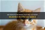 Unveiling the Hidden Meanings Behind "Funny Names for Black People"