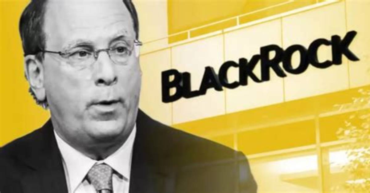 Unveiling the Influence of the Blackrock Ceo