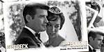 Unveiling the Legacy of Diane Bourne Breck: a Journey of Discovery