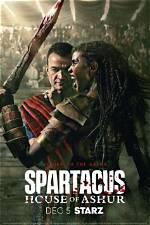 Unveiling the Life of Spartacus’s Wife: a Journey Through History