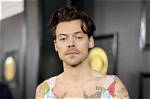 Unveiling the Phenomenon: "Harry Styles Wdw" Decoded