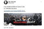 Unveiling the Phenomenon of Twitter Wallstreetsilver