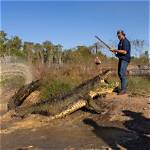 Unveiling the Secrets of "Matt Wright Crocodile Wife": Conservation, Wildlife, and More