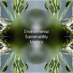 Unveiling the Secrets of Style and Sustainability