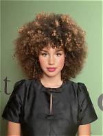 Unveiling the Tapestry of Sofia Wylie's Ethnicity: a Journey of Discovery