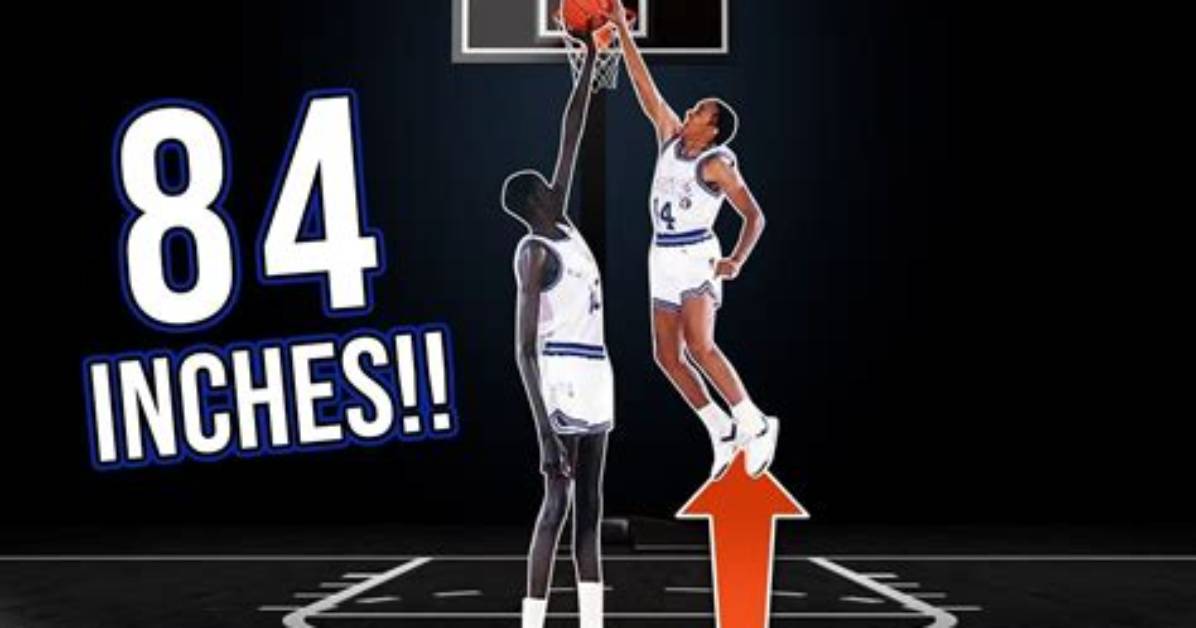Who Has the Highest Vertical in Nba History? ·