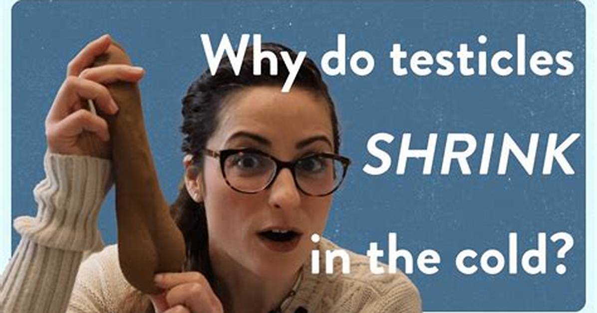 Why Do My Testicles Feel Cold to the Touch?
